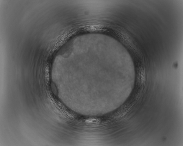 X0000115320700200911301558