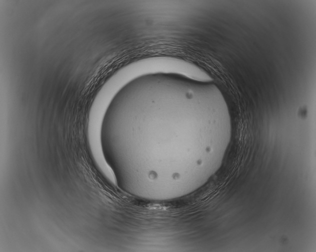 X0000115320701200911301558