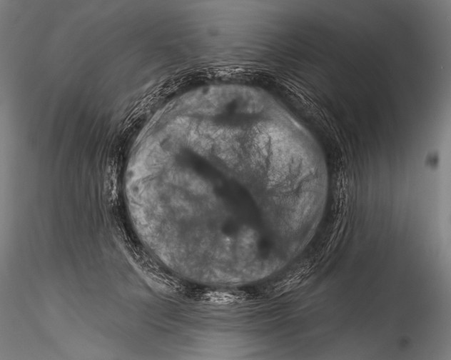 X0000115320703200911301558