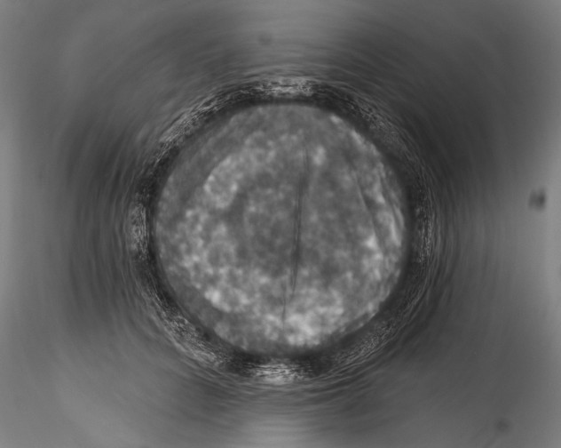 X0000115320704200911301558