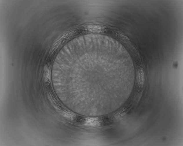 X0000115320705200911301558