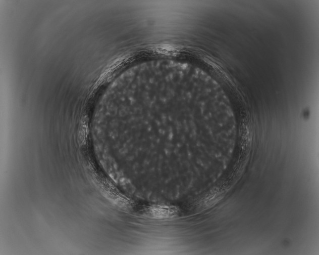 X0000115320707200911301558