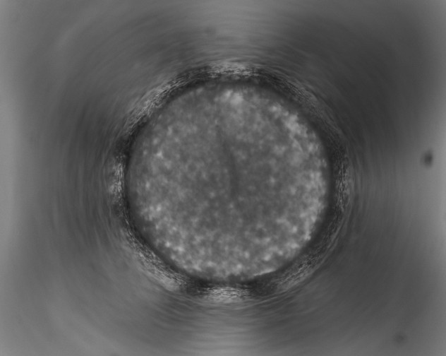 X0000115320708200911301558