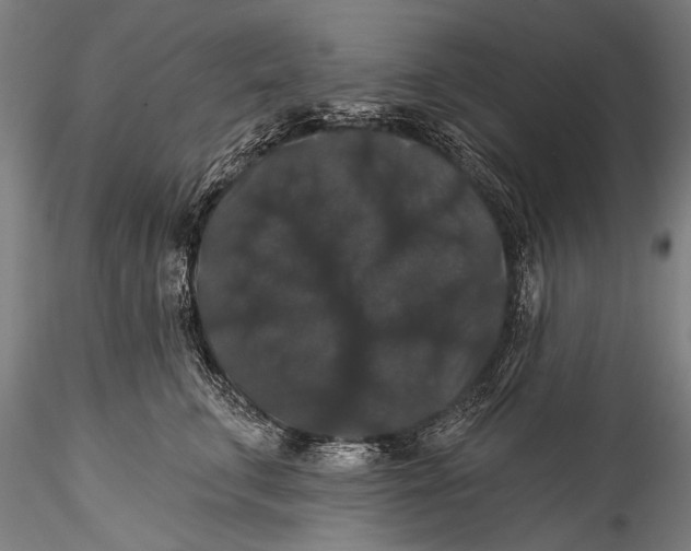 X0000115320711200911301558