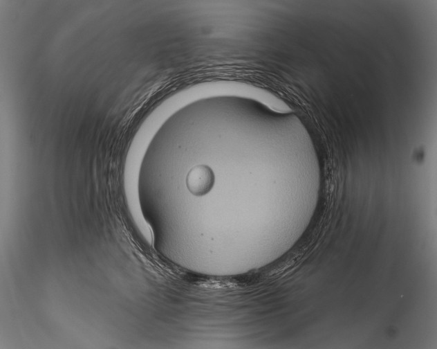 X0000115320712200911301558