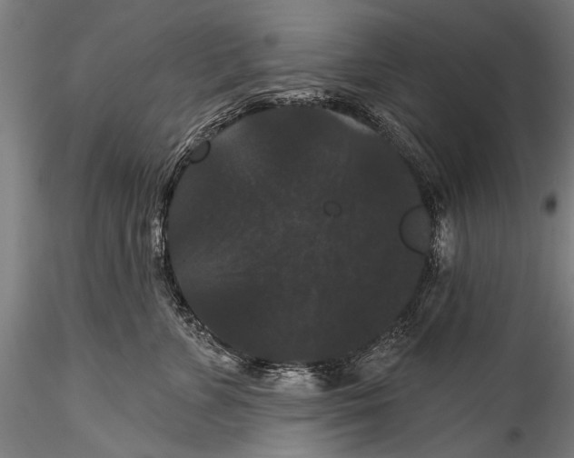 X0000115320715200911301558