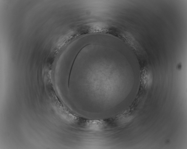 X0000115320716200911301558