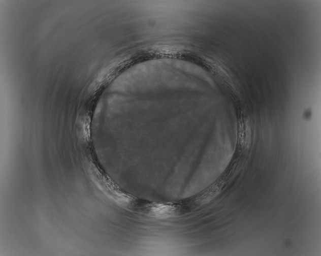 X0000115320718200911301558