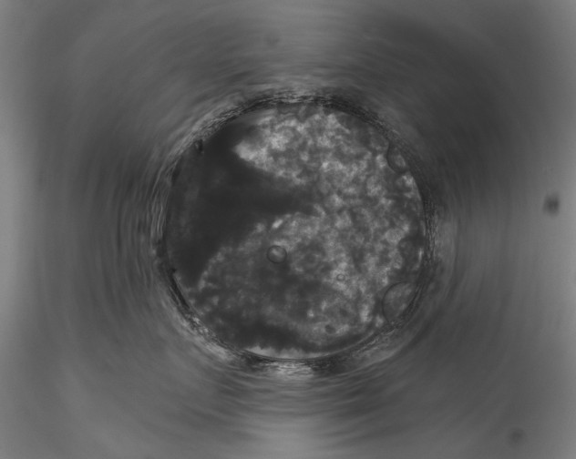 X0000115320719200911301558