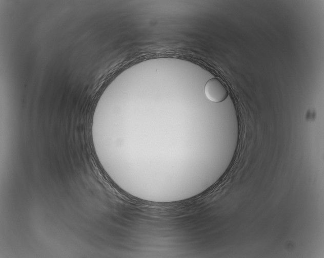 X0000115320720200911301558