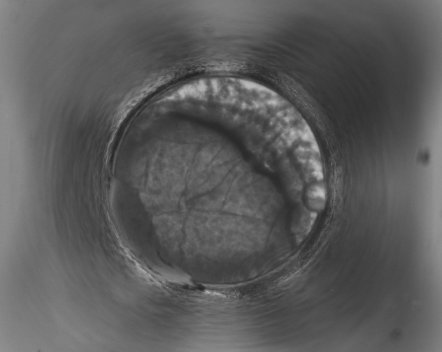 X0000115320721200911301557