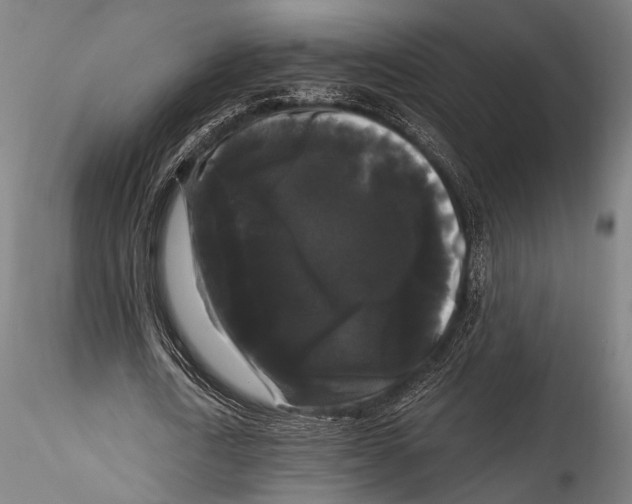 X0000115320722200911301557