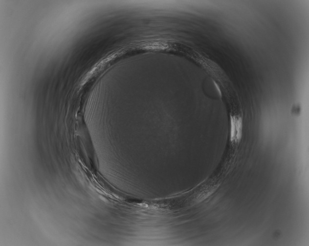 X0000115320723200911301557