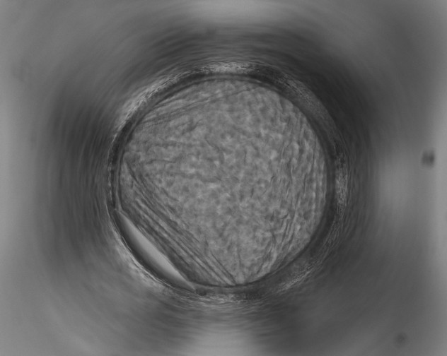 X0000115320725200911301557