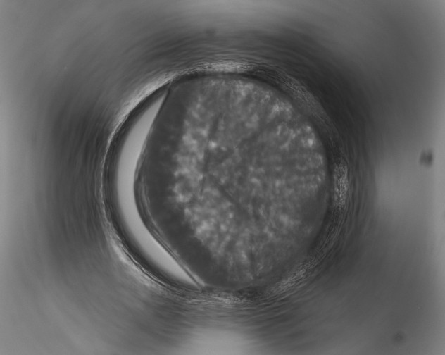 X0000115320726200911301557