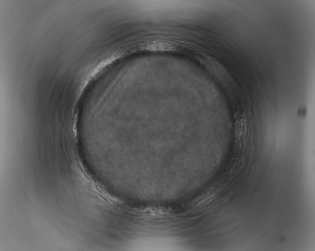 X0000115320727200911301557