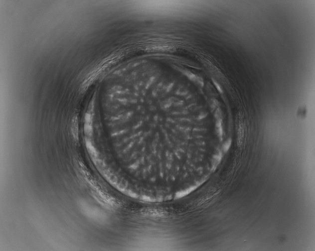 X0000115320729200911301557