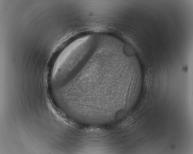 X0000115320730200911301557