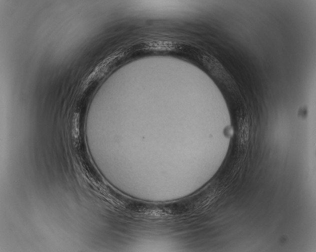 X0000115320731200911301558