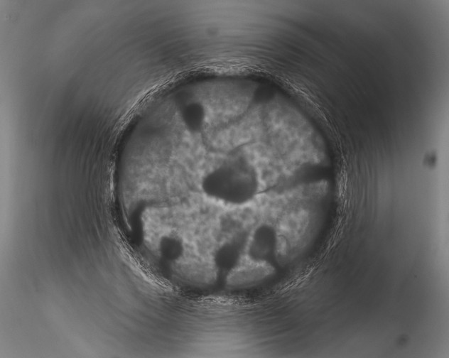 X0000115320733200911301558