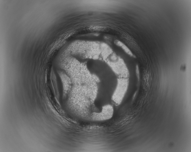 X0000115320734200911301558