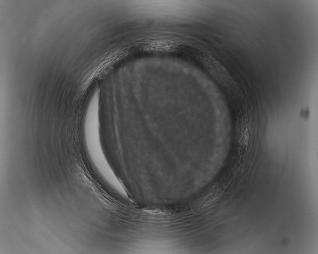 X0000115320735200911301558