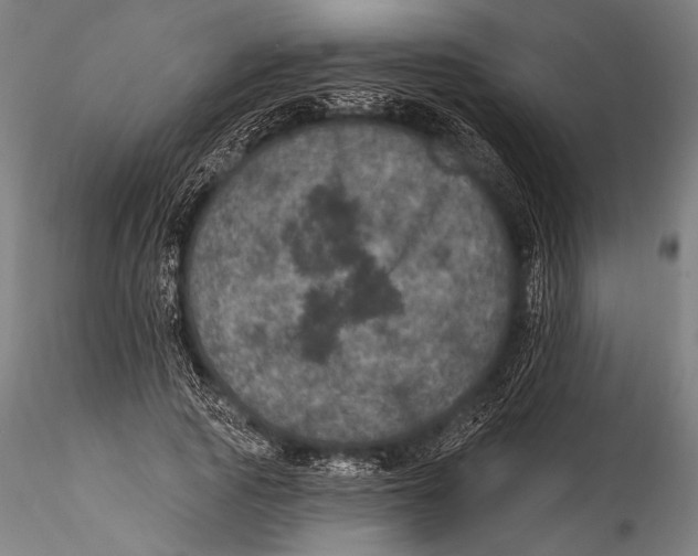 X0000115320737200911301558