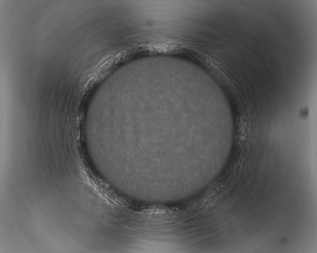 X0000115320738200911301558