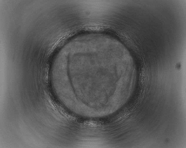 X0000115320739200911301558