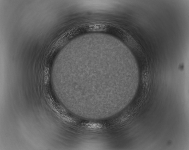 X0000115320741200911301558