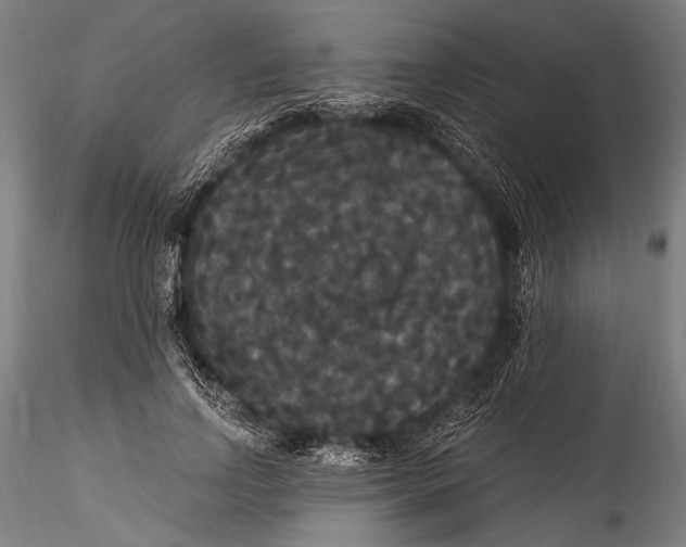 X0000115320742200911301558