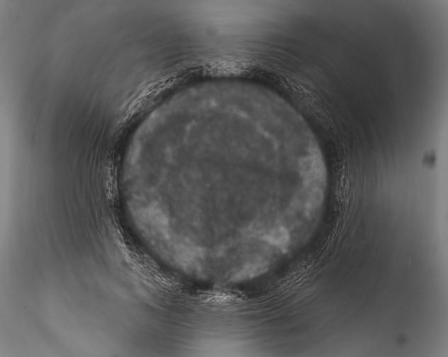 X0000115320743200911301558