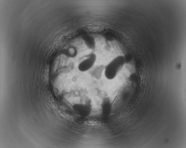 X0000115320745200911301558