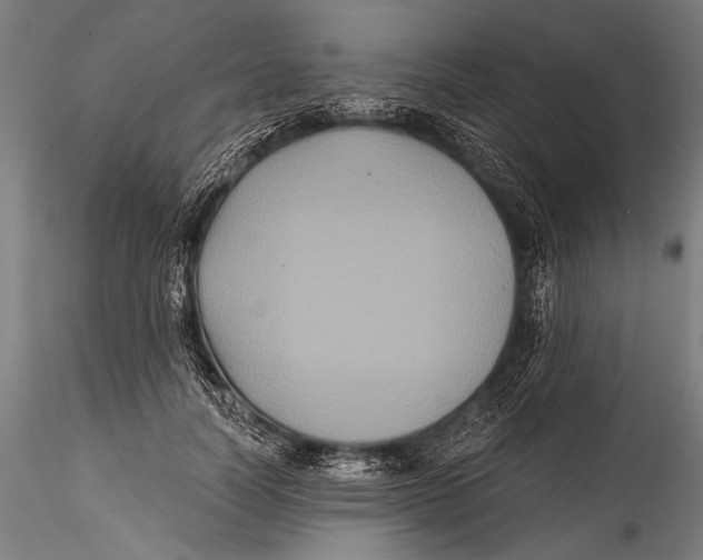 X0000115320746200911301558