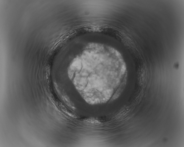 X0000115320747200911301558