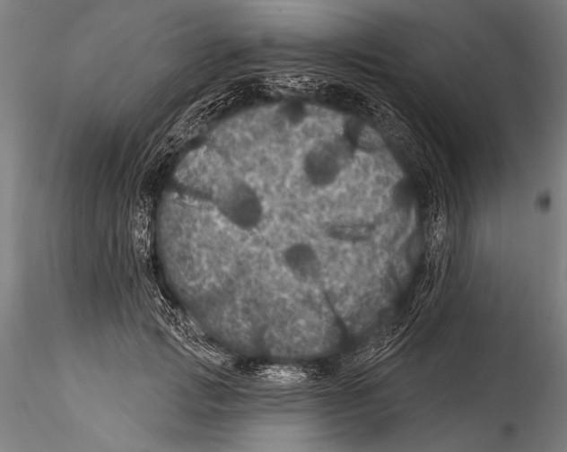 X0000115320749200911301558