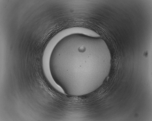 X0000115320750200911301558