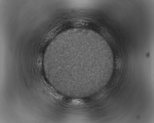 X0000115320753200911301558