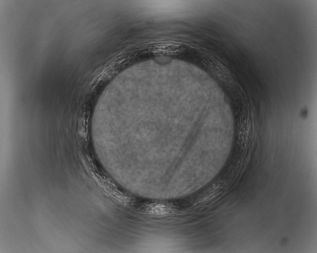 X0000115320755200911301558