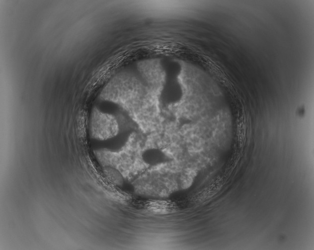 X0000115320757200911301558