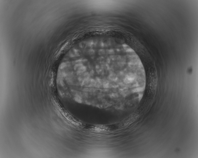 X0000115320758200911301558