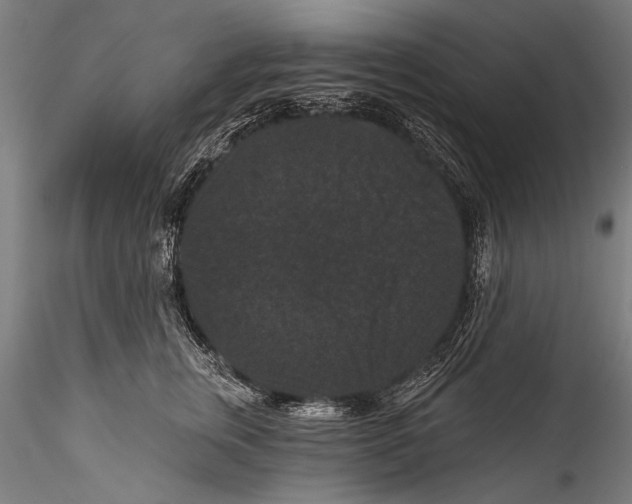 X0000115320759200911301558