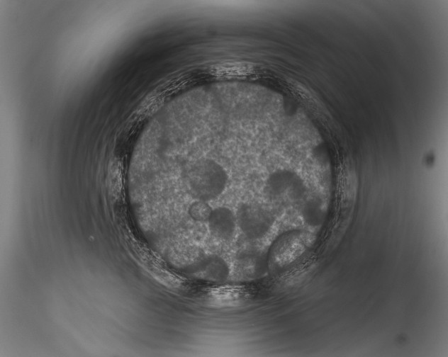 X0000115320761200911301558