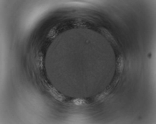 X0000115320762200911301558