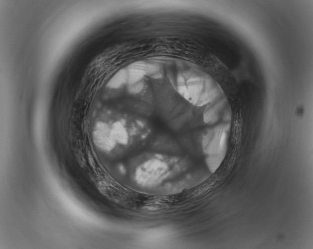 X0000115320765200911301558