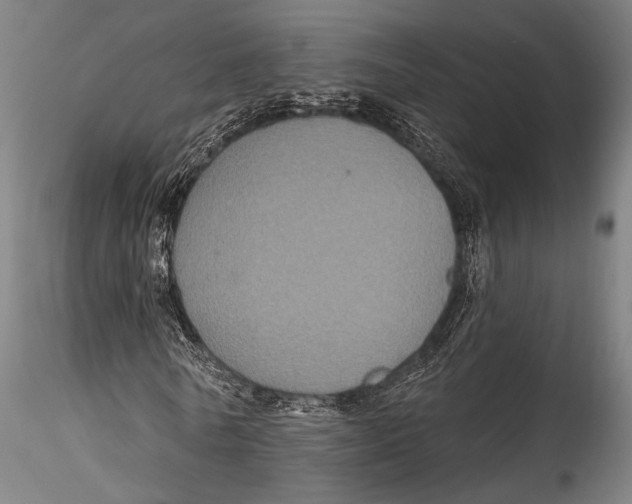 X0000115320770200911301557