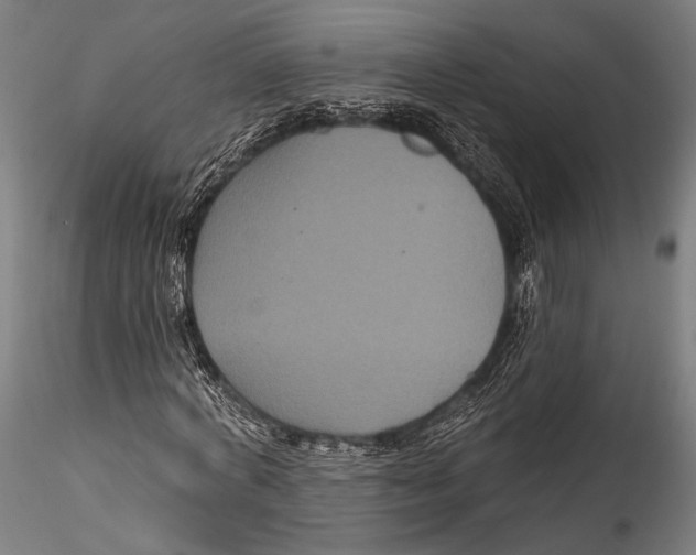 X0000115320772200911301557