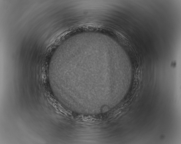 X0000115320774200911301557