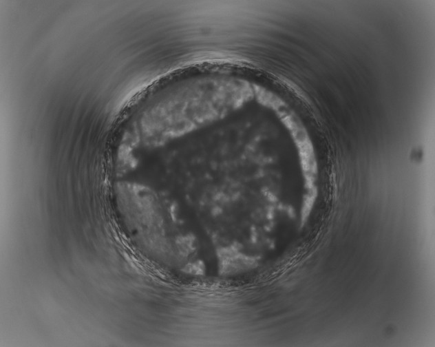 X0000115320775200911301557