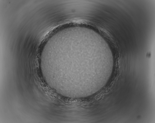 X0000115320776200911301557